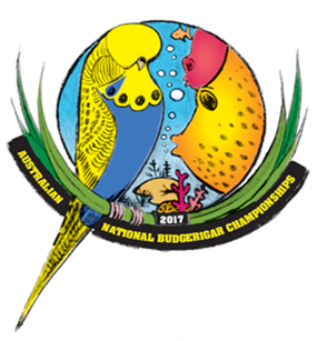 anbc mackay 2017 logo