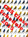 CBS Class Schedule
