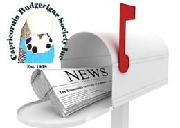 newsletter
